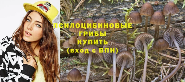 мяу мяу мука Рославль