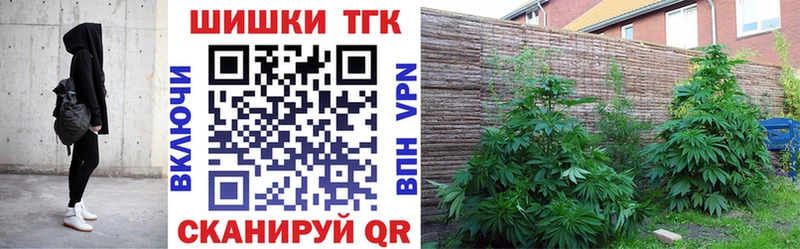 Купить где  Кировград  Конопля индика 